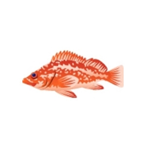 Vermillion Rockfish